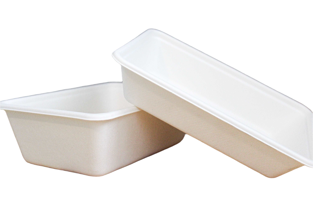 750ml Bagasse Rectangle Tray Container (300pcs) | PFAS-Free | Compostable