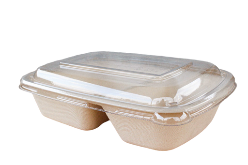 Bagasse Contaner Rectangular